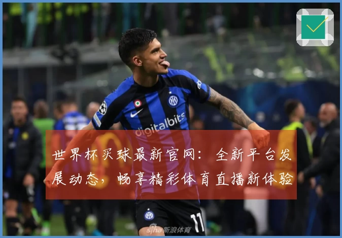 世界杯买球最新官网：全新平台发展动态，畅享精彩体育直播新体验