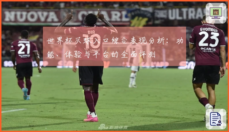 世界杯买球入口综合表现分析：功能、体验与平台的全面评测