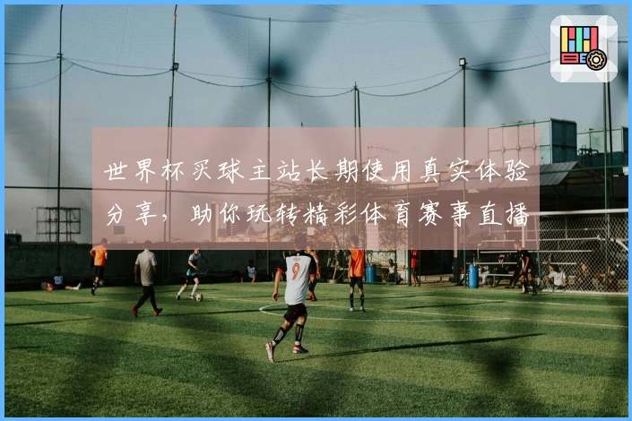 世界杯买球主站长期使用真实体验分享，助你玩转精彩体育赛事直播