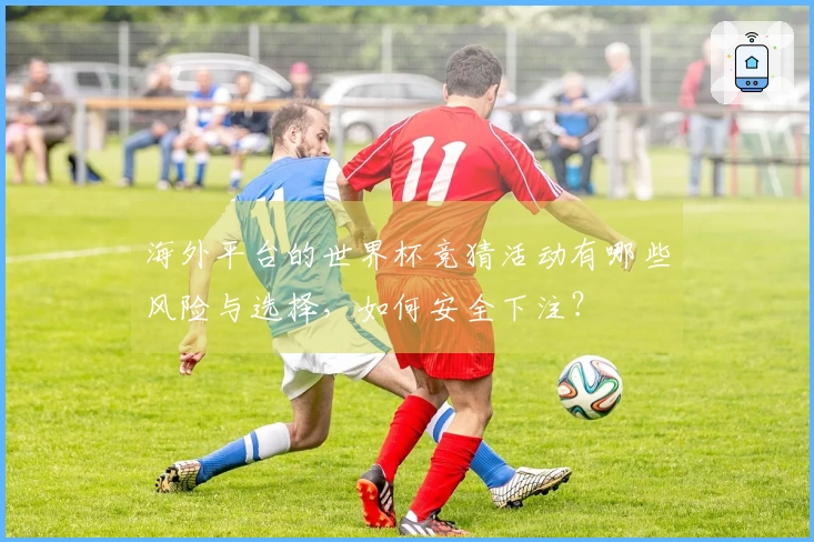 海外平台的世界杯竞猜活动有哪些风险与选择,如何安全下注?