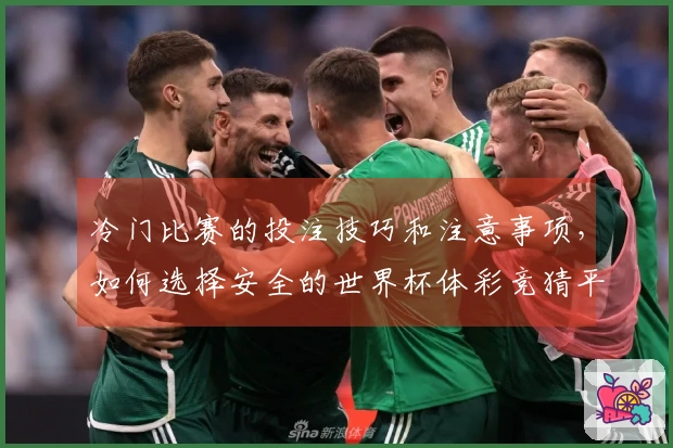 冷门比赛的投注技巧和注意事项，如何选择安全的世界杯体彩竞猜平台