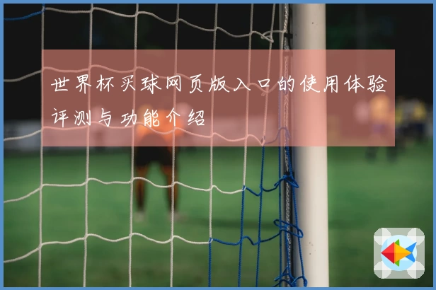 世界杯买球网页版入口的使用体验评测与功能介绍