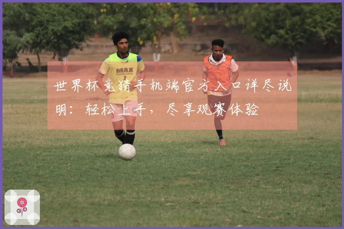 世界杯竞猜手机端官方入口详尽说明：轻松上手，尽享观赛体验