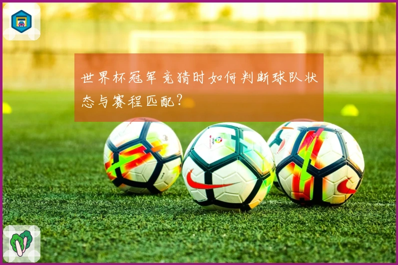 世界杯冠军竞猜时如何判断球队状态与赛程匹配？