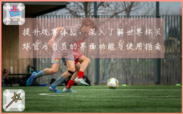 提升观赛体验,深入了解世界杯买球官方首页的界面功能与使用指南