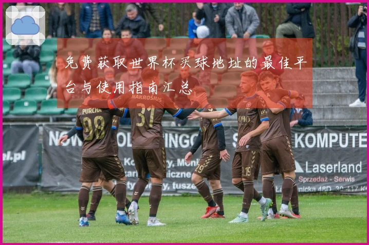 免费获取世界杯买球地址的最佳平台与使用指南汇总