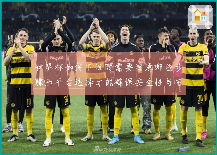 世界杯如何下注时需要注意哪些步骤和平台选择才能确保安全性与可靠性