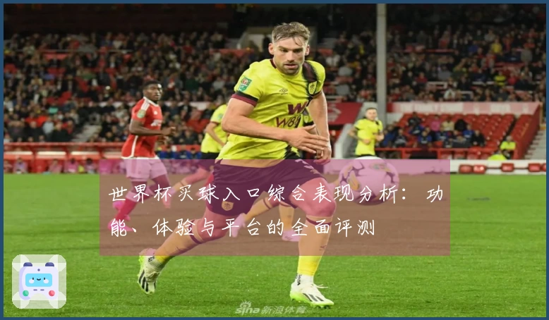 世界杯买球入口综合表现分析：功能、体验与平台的全面评测