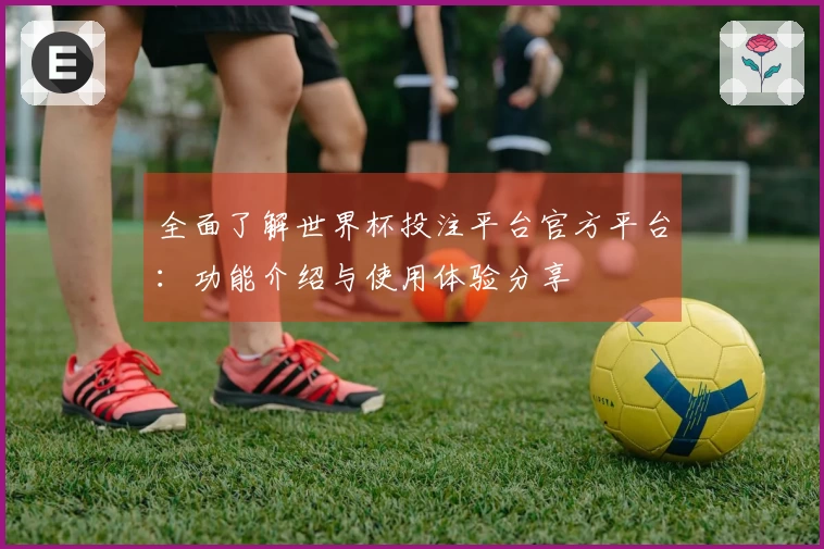 全面了解世界杯投注平台官方平台：功能介绍与使用体验分享